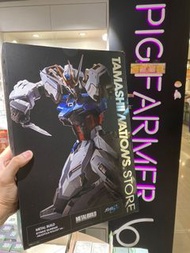 日版現貨HomeTAMASHII NATIONS STORE TOKYO METAL BUILD Strike Gundam -Heliopolis Rollout Ver.- 清水西 突擊高達
