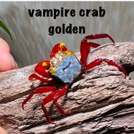 vampire crab golden aquarium decoration