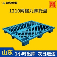Pallet Ground Support Plastic Disposable Container Grid Transport With support1210Nine-foot Outlet P