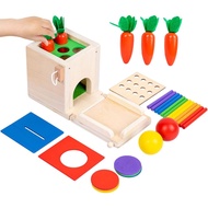 Fine Motor Skills Toys 5 in 1 Baby Toys 6-12 Months, Educational Toys for Young Children Include Obj