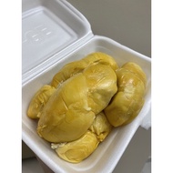 Durian (D13/ XO/ D24)