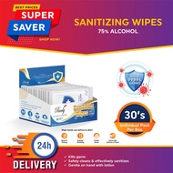 Sanitizing Wipes Anti-Bacterial (75% Alcohol) 30's individual packs