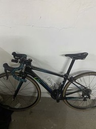 Liv langma 公路車（配卡踏）