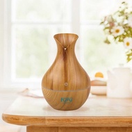 CHUBAN Air Humidifier Aromatherapy Hydrating Sprayer 250ml - CH341