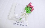 Namhae Blue Stone Pension