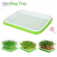 BORRAONE  Sprouter Tray Outdoor Indoor Hydroponic Tray Soilless Cultivation Plant Box