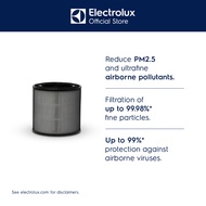 Electrolux EFFCLN2 CLEAN A3 Ultrafine Particle Filter for EP32-25WBA and FA31-202GY