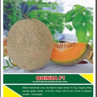 Benih Rock Melon ( Quinza F1 ) ( Repack )