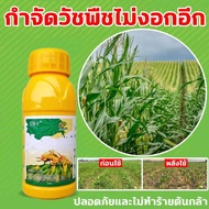 วัชพืชยาชุดข้าวโพด ยาฉีดทับข้าวโพด สารกำจัดวัชพืช 100g เข้มข้นสุดๆ ฆ่าหญ้ารอบข้าวโพด กำจัดหญ้าในไร่ข