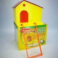 Hamster House / Rumah Hamster
