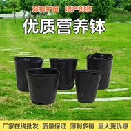 Gardening Nutrition Bowl Durable Durable Pot Sowing Nutrition Cup Whole Pack Black [] Wholesale Nutr