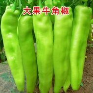 North Vegetable Cayenne Pepper Seeds Green Pepper Pepper Hot Pepper Seedlings