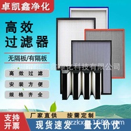 High Efficiency Filter Air Purifier Dust-Free Workshop Cleaner H13/H14 No Partition Glass Fiber Filt