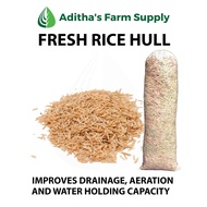 Fresh Rice Hull / Ipa (100 grams) Substrate