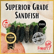 [Fresh9] LIMITED STOCKS Superior Grade Sandfish
