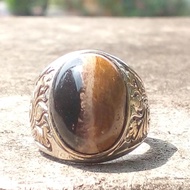 Fosil Kelor Kendit Ring Perak