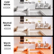 Surface Mounted Downlight Led 220V COB Spot Led Down Light 5