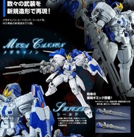 ⚠️現金面交、議價、改交易地點免問已讀不回⚠️全新BANDAI PB魂SHOP限定GUNDAM WING EW新機動戰記W高達 無盡華爾芝MG 1/100 OZ-00MS2B TALLGEESE II