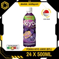 POKKA Fruit Drinks 500ML/1.5L