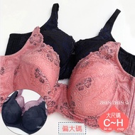 Made In Taiwan Large Size Functional Underwear [C/D/E/F/G/H 34~44] 7799 Deep Cup Lace High Side Also