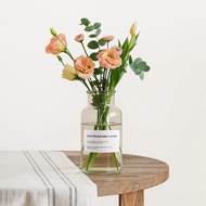 Ddsstore Aesthetic Glass Bottle Vase Flower Pot 500ml En549 Transparent