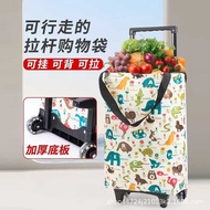 Grocery Shopping Small Trolley Backpack Dual-Use Shopping Trolley Portable Foldable Trolley Cart Cam