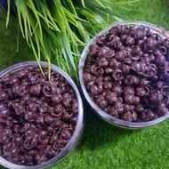 coklat coco crunch / mini coco crunch / mini ball