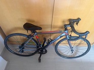 Java veloce road bike 公路單車