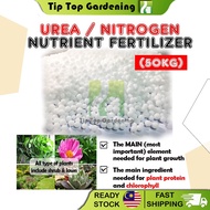 50 KG UREA FERTILIZER Formulated Urea 46%N BAJA RUMPUT POKOK TANAMAN