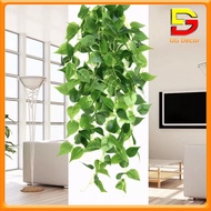 Giỏ Dây Leo Treo Tường Nhiều Mẫu Độc Đáo Đã Cắm Sẵn Dài 90cm Tặng Móc 3D DG-368