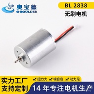 Brush Motor Micro bl2838 Hair Curling Iron Motor Hair Dryer Large No Motor DC Motor Brush Torque DAQ