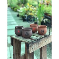 💚GFS💚【静】紫砂花盆 [Purple Sand Pot] (READY STOCK现货)