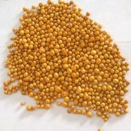 [HCM]Phân vàng Hà Lan Osmocote 14-14-14 (1kg)