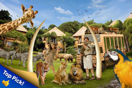 Bali Safari and Marine Park
