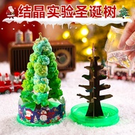 Paper Tree Flowering Christmas Tree Magical Watering Growth Magic Crystal Tree diy Children Handmade