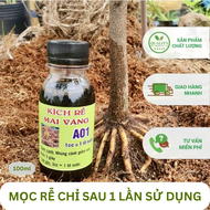 Siêu kích rễ A01 phân bón kích rễ cho các loại cây hoa giâm chiết cành (mua 3 tặng 1)
