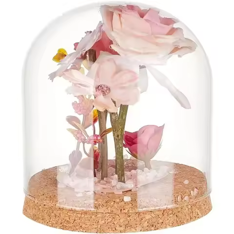 1 pc Glass Display Dome Cloche Glass Bell Jar Display Dome Glass Decorative Jars with Cork Base for 