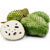 Guyabano Soursop Seeds 10seeds
