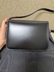 Celine Teen Triomphe