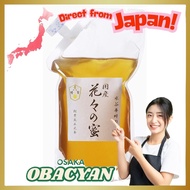 Mizutani Bee Garden Domestic Flower Honey Eco Pack 1000g,Direct from Japan
