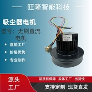 Factory Direct Supply48V Cleaner Vacuum Cleaner Brushless Motor500W