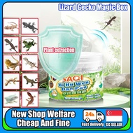 【SG Stock】Lizard Repellent/ Lizard Trap/ Gecko Killer/ Magic Box Plant/ Formula Upgraded Lizard Kill