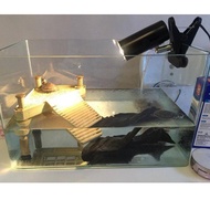 [PRODUCT B7MCO] 25W Reptile Lamp Halogen UVA UVB 3.0 FEFARM 99R