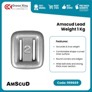 DIVING WEIGHT 1KG - 2 POUNDS LEAD/ TIN/PEMBERAT