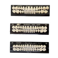 GIgi Caiyu Full Set 1 Set isi 28 butir gigi palsu merk cayu yuying anterior upper lower posterior up