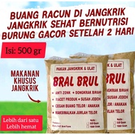 BRAL BRUL pakan khusus burung murai burung Kacer indukan
