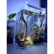 Aquarium mini tank aquascape
