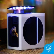 Akuarium Ikan Betta Thai, Akuarium Paparan Ikan Betta Sederhana, Akuarium Mikro Ekologi Pejabat, Aku