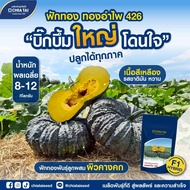 เมล็ดฟักทอง ทองอำไพ 426 ขนาด1000เมล็ด ตราเจียไต๋ เมล็ดพันธุ์ฟักทอง เมล็ดฟักทองทองอำไพ เจียไต๋