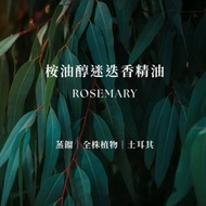 桉油醇迷迭香精油 | Rosemary Essential Oil | 涼感草本 木質穩